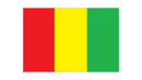 Drapeau Guinée-Maison des Drapeaux