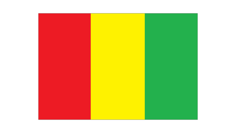 Drapeau Guinée-Maison des Drapeaux