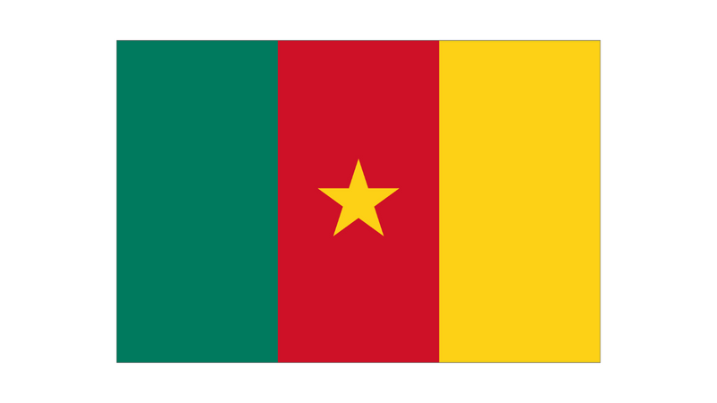 Drapeau Cameroun-Maison des Drapeaux