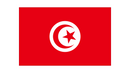 Drapeau Tunisie-Maison des Drapeaux