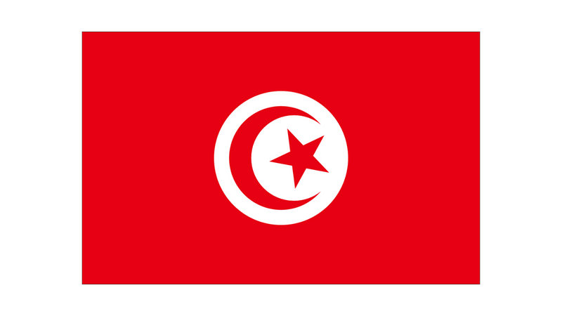 Drapeau Tunisie-Maison des Drapeaux